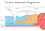 design scientific illustration, figures, diagrams and graphical abstracts